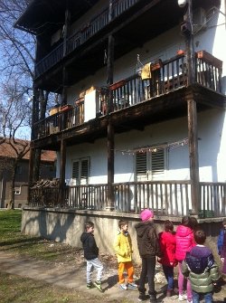 pic10
