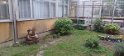 pic09
