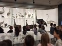 img10